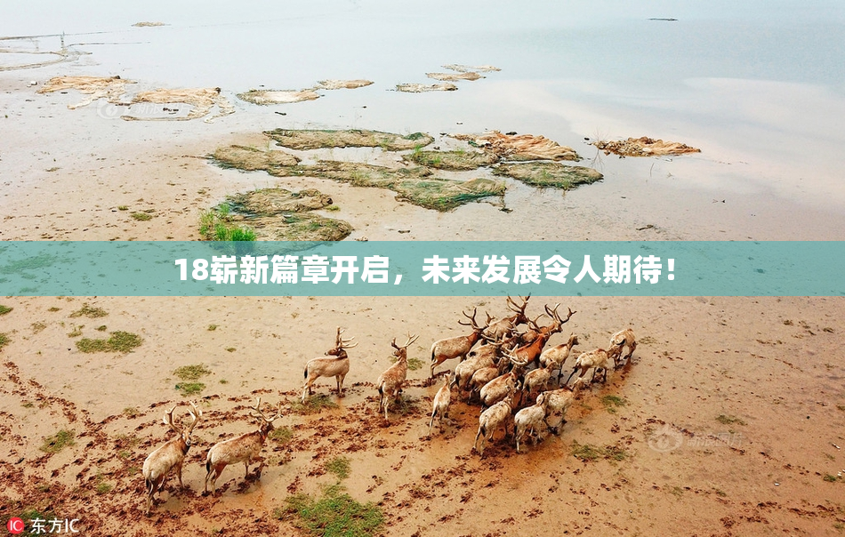 18崭新篇章开启，未来发展令人期待！