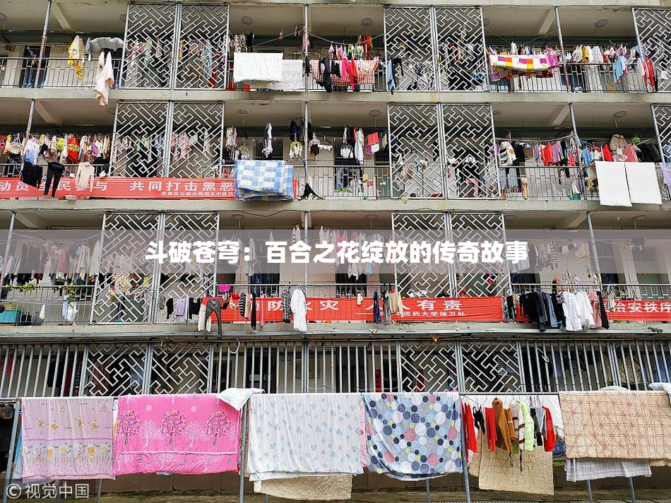 斗破苍穹：百合之花绽放的传奇故事