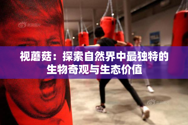 视蘑菇：探索自然界中最独特的生物奇观与生态价值