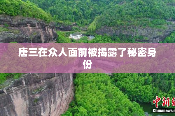 唐三在众人面前被揭露了秘密身份