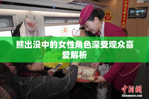 熊出没中的女性角色深受观众喜爱解析
