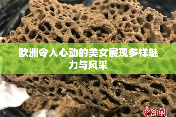 欧洲令人心动的美女展现多样魅力与风采