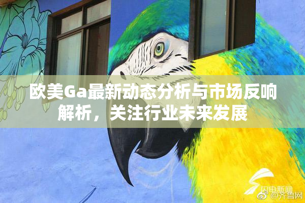 欧美Ga最新动态分析与市场反响解析，关注行业未来发展