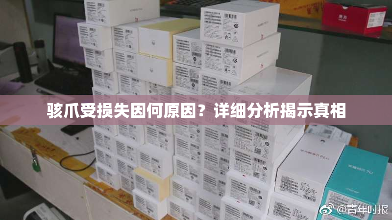 骇爪受损失因何原因？详细分析揭示真相