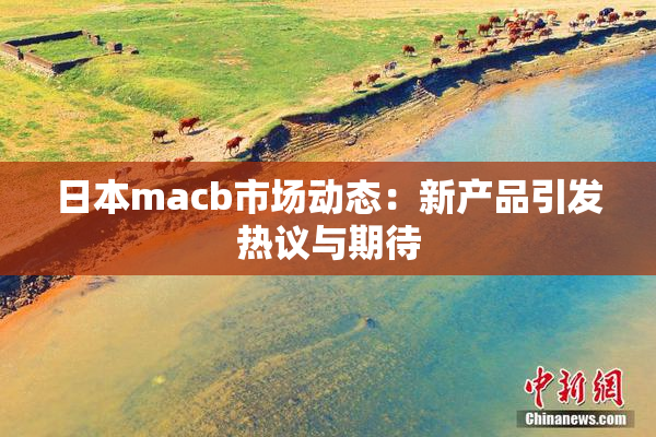 日本macb市场动态：新产品引发热议与期待