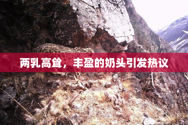 两乳高耸，丰盈的奶头引发热议