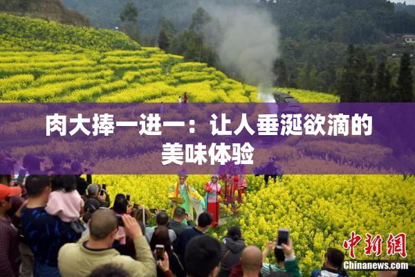 肉大捧一进一：让人垂涎欲滴的美味体验