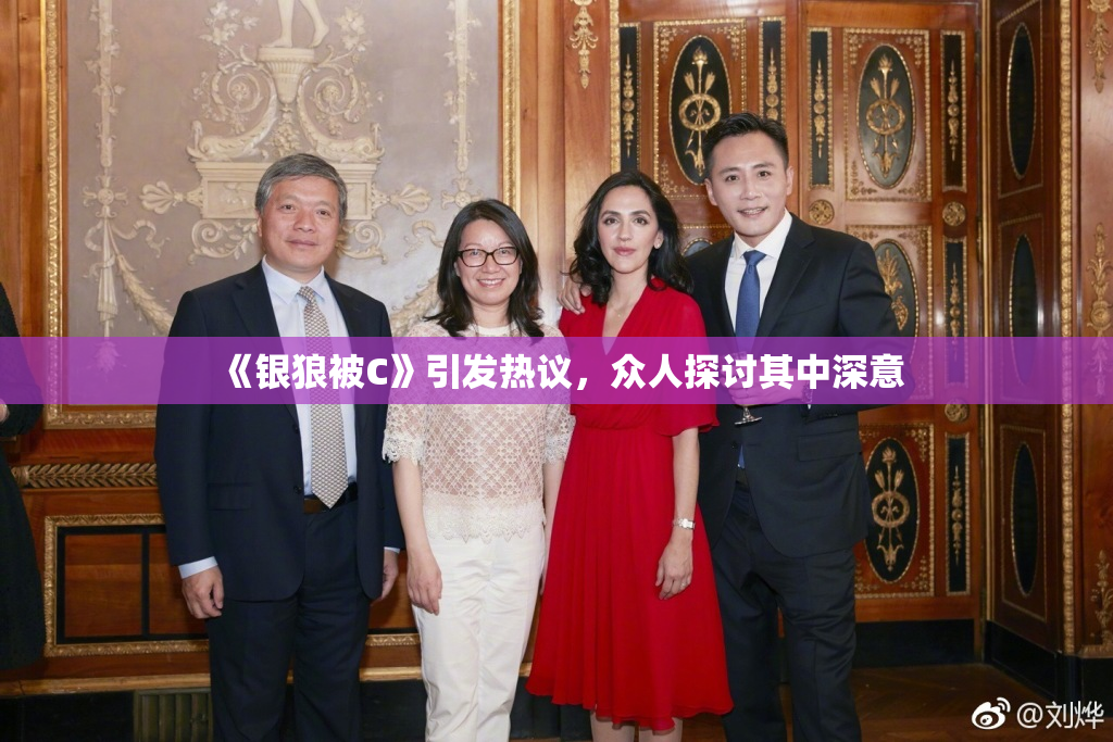 《银狼被C》引发热议，众人探讨其中深意