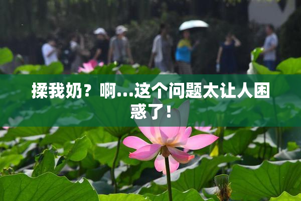 揉我奶？啊…这个问题太让人困惑了！