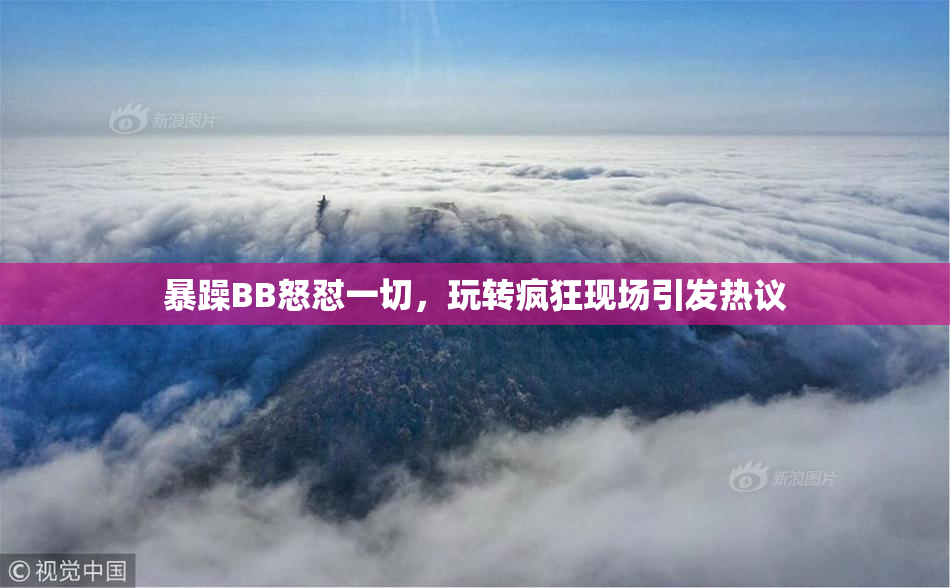 暴躁BB怒怼一切，玩转疯狂现场引发热议