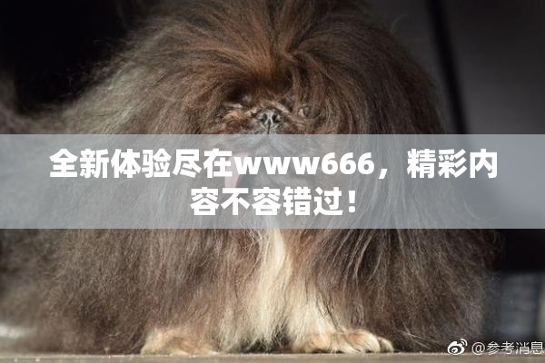 全新体验尽在www666，精彩内容不容错过！