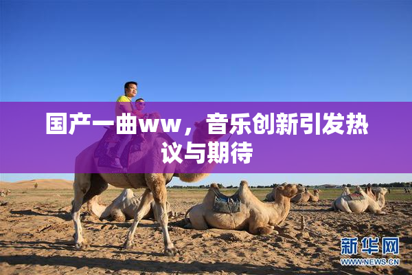 国产一曲ww，音乐创新引发热议与期待