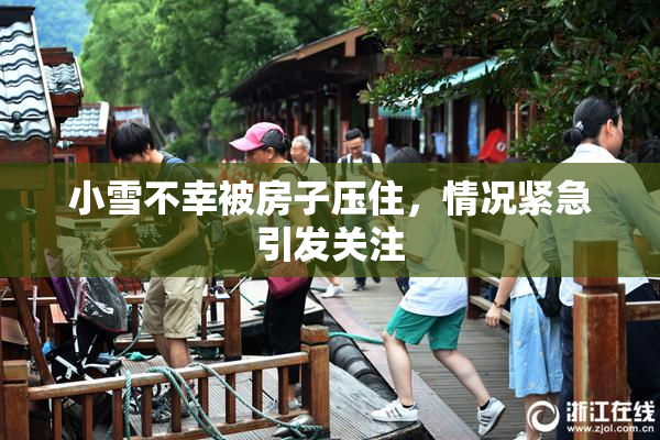 小雪不幸被房子压住，情况紧急引发关注