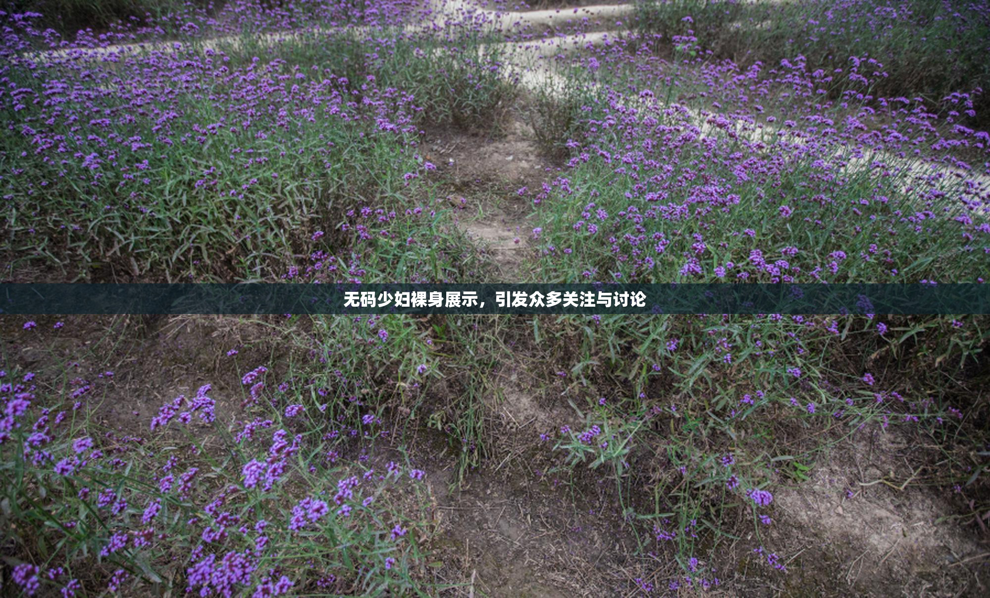 无码少妇裸身展示，引发众多关注与讨论