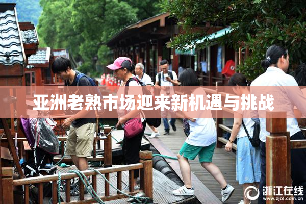 亚洲老熟市场迎来新机遇与挑战