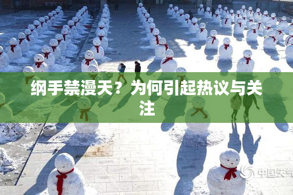 纲手禁漫天？为何引起热议与关注