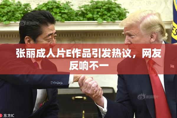 张丽成人片E作品引发热议，网友反响不一
