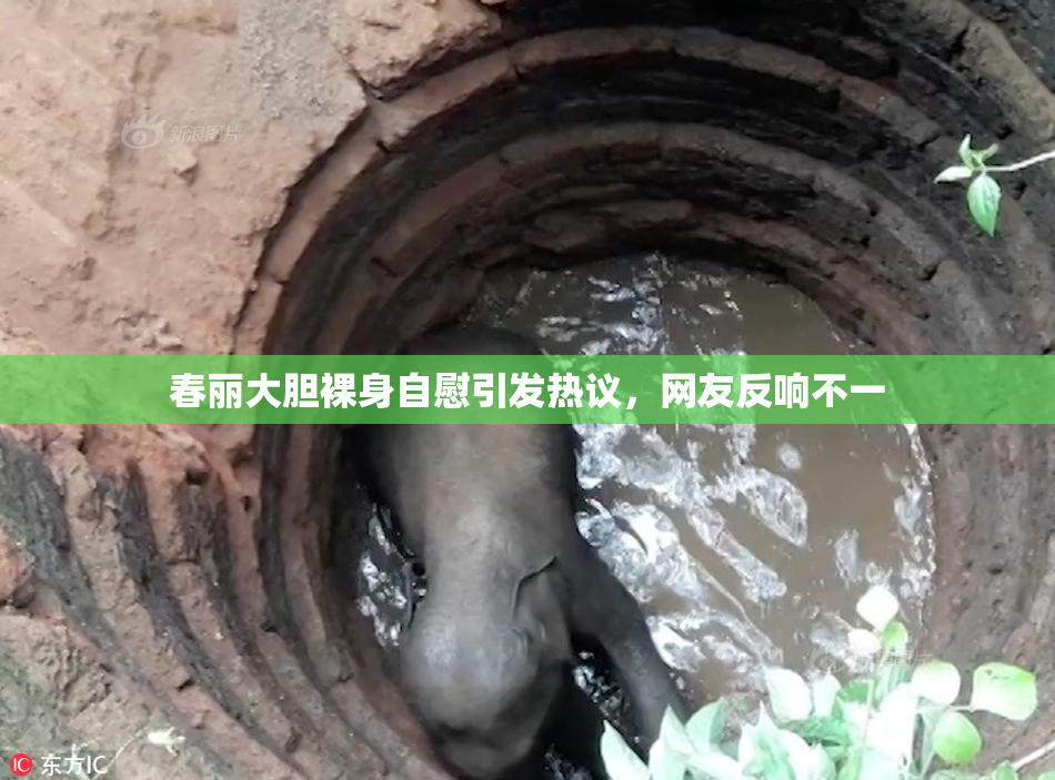 春丽大胆裸身自慰引发热议，网友反响不一