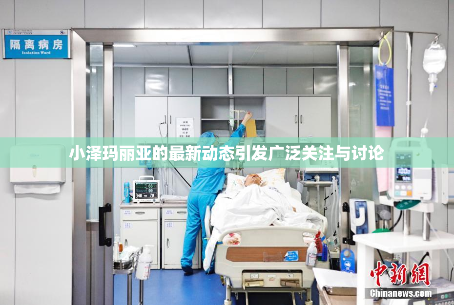 小泽玛丽亚的最新动态引发广泛关注与讨论