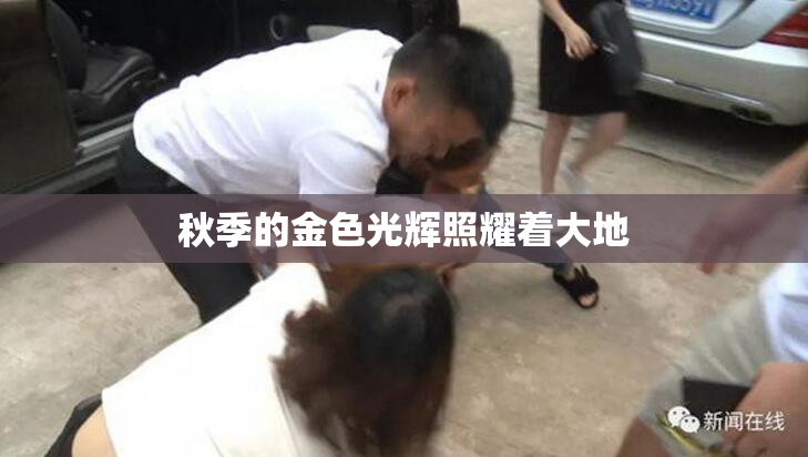 秋季的金色光辉照耀着大地