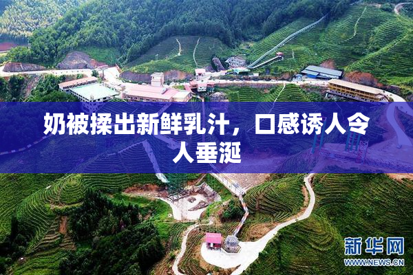 奶被揉出新鲜乳汁，口感诱人令人垂涎