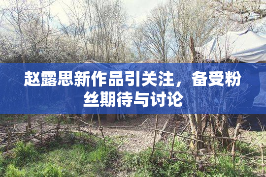 赵露思新作品引关注，备受粉丝期待与讨论
