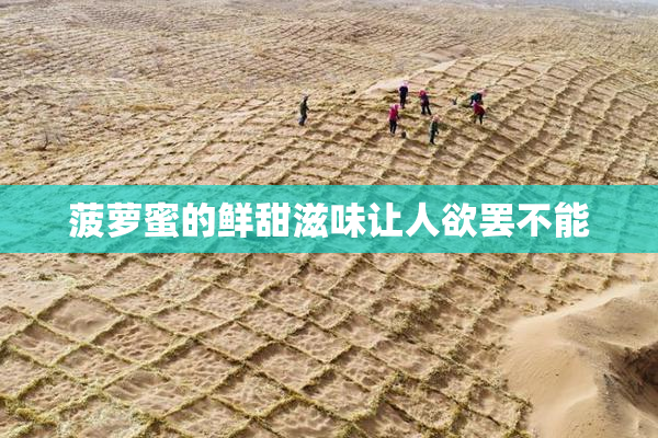 菠萝蜜的鲜甜滋味让人欲罢不能