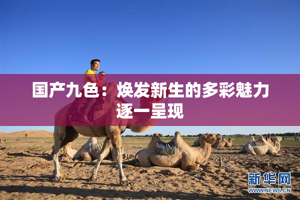 国产九色：焕发新生的多彩魅力逐一呈现