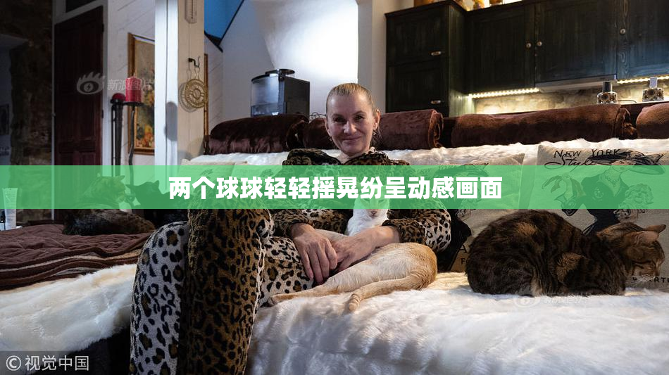 两个球球轻轻摇晃纷呈动感画面