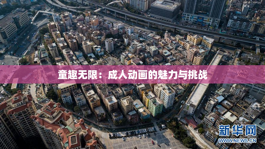 童趣无限：成人动画的魅力与挑战