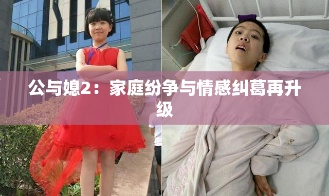 公与媳2：家庭纷争与情感纠葛再升级