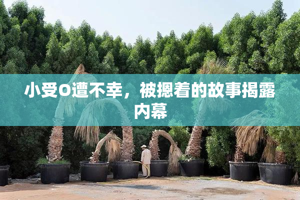 小受O遭不幸，被摁着的故事揭露内幕