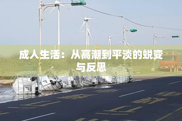 成人生活：从高潮到平淡的蜕变与反思