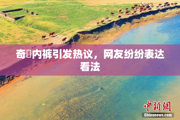 奇犽内裤引发热议，网友纷纷表达看法
