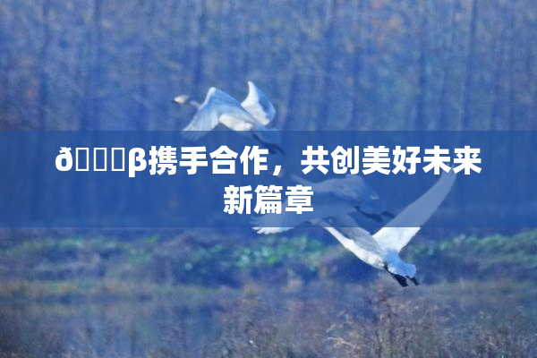 👙β携手合作，共创美好未来新篇章