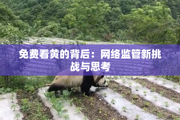 免费看黄的背后：网络监管新挑战与思考