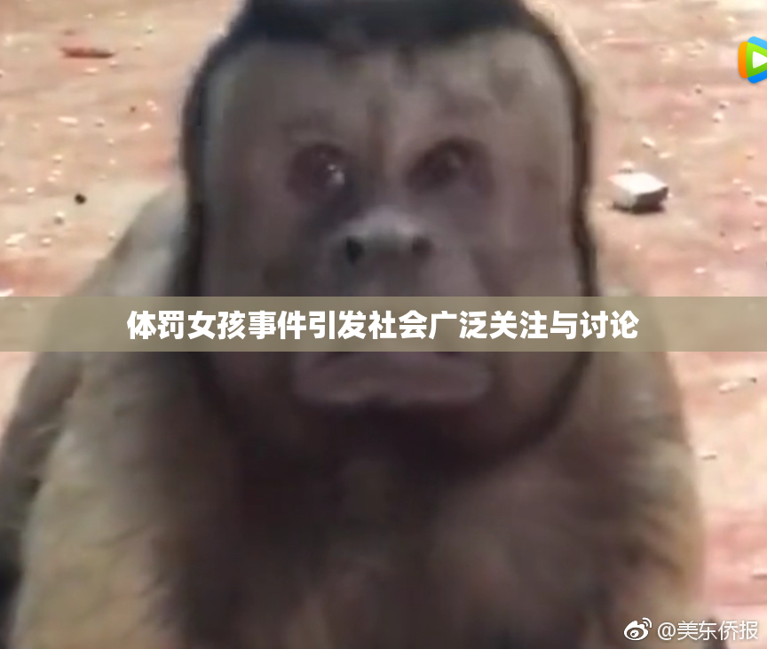 体罚女孩事件引发社会广泛关注与讨论