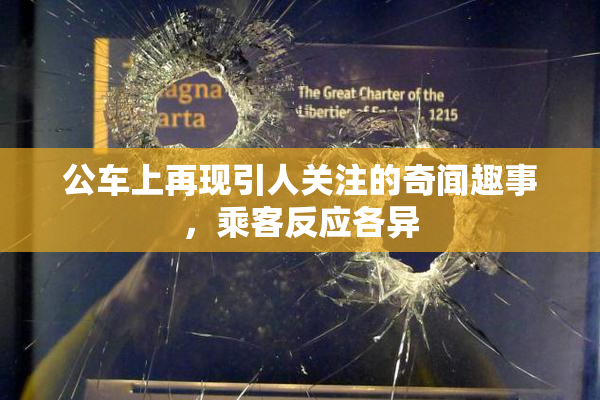 公车上再现引人关注的奇闻趣事，乘客反应各异