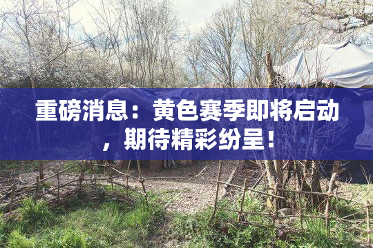 重磅消息：黄色赛季即将启动，期待精彩纷呈！