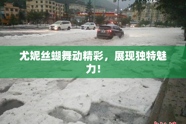 尤妮丝蝴舞动精彩，展现独特魅力！