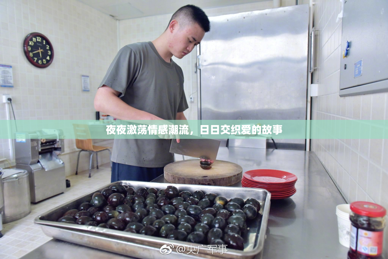 夜夜激荡情感潮流，日日交织爱的故事