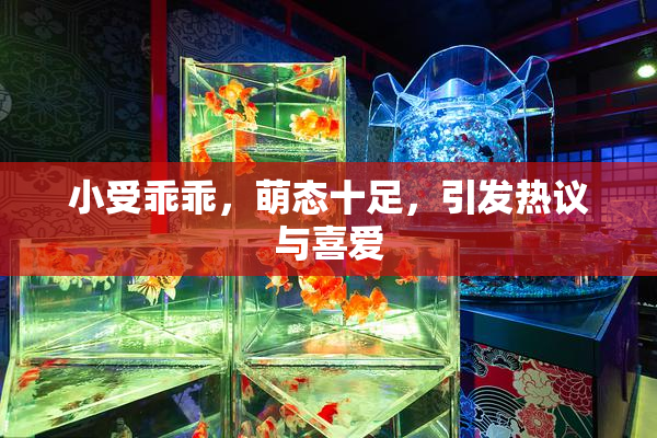 小受乖乖，萌态十足，引发热议与喜爱