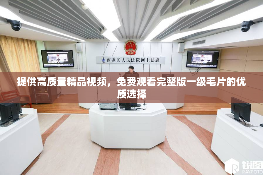 提供高质量精品视频，免费观看完整版一级毛片的优质选择