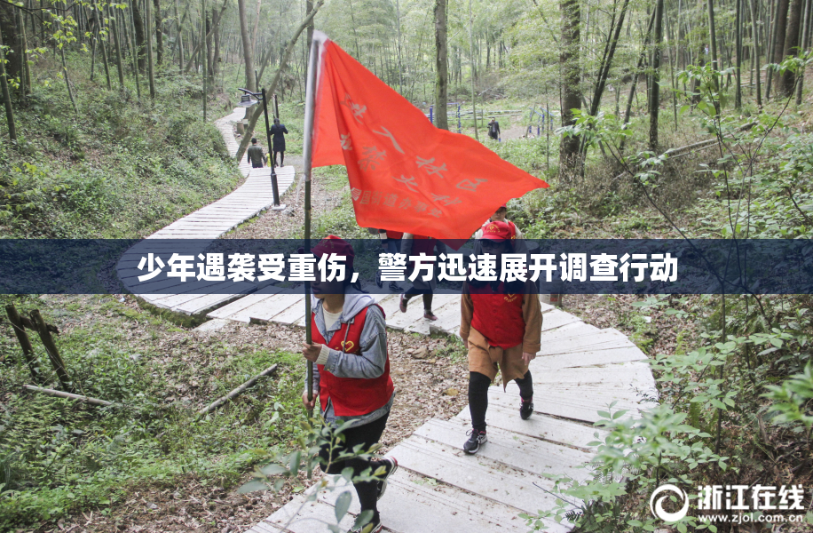 少年遇袭受重伤，警方迅速展开调查行动