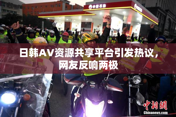日韩AV资源共享平台引发热议，网友反响两极