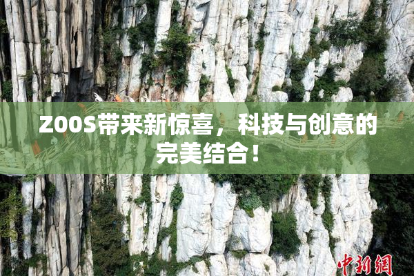 Z00S带来新惊喜，科技与创意的完美结合！