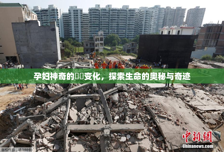 孕妇神奇的乂乄变化，探索生命的奥秘与奇迹