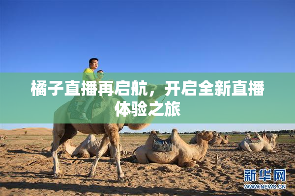 橘子直播再启航，开启全新直播体验之旅