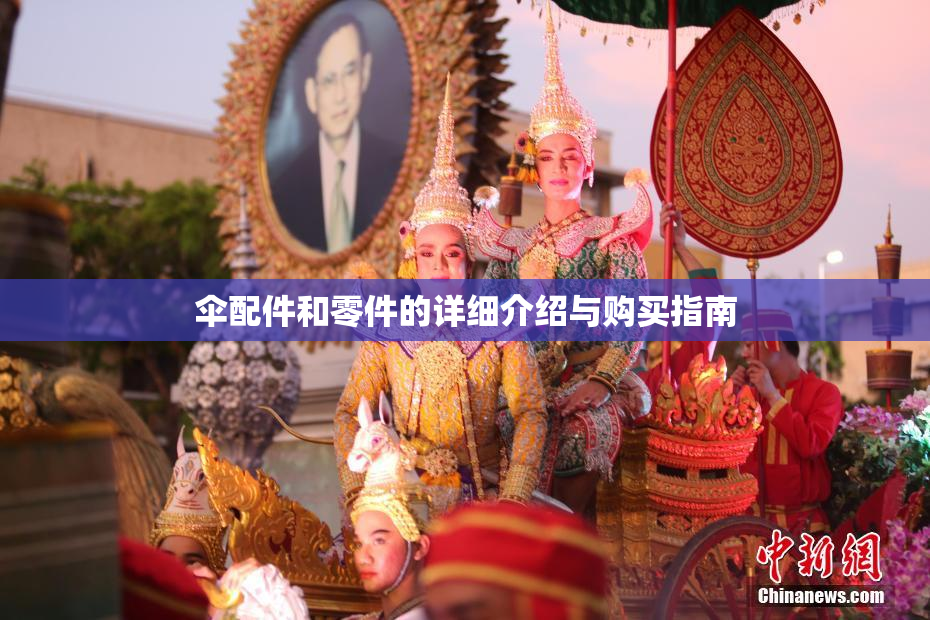 伞配件和零件的详细介绍与购买指南