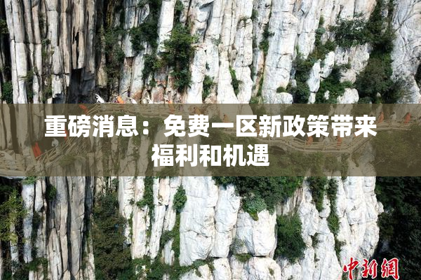 重磅消息：免费一区新政策带来福利和机遇